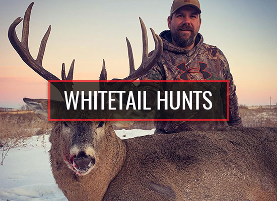 Michitoba Outfitting Whitetail Hunts